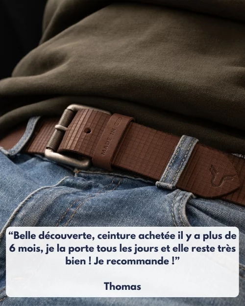 thomas-avis